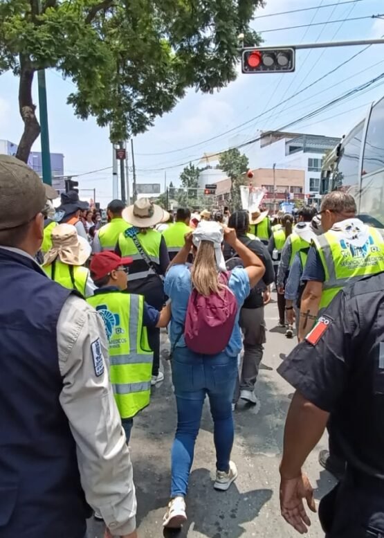 El Vocero